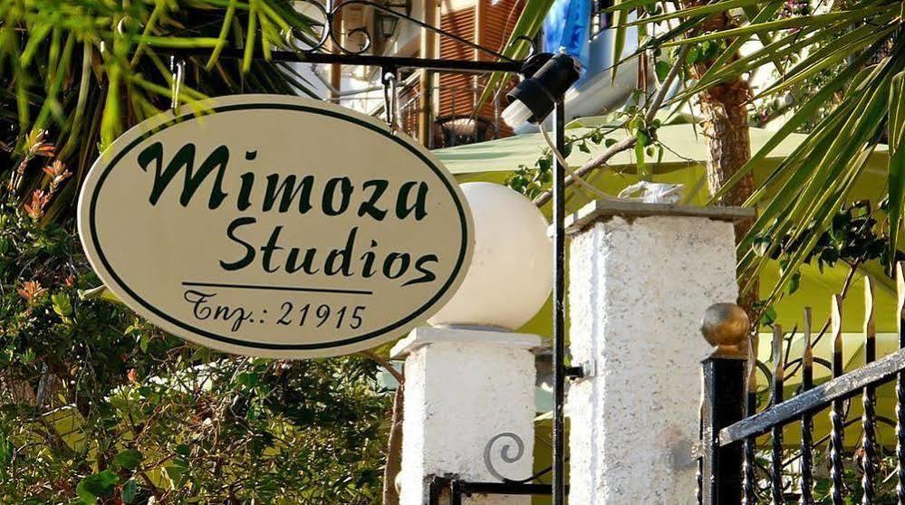 Mimoza Studios Скиатос Екстериор снимка